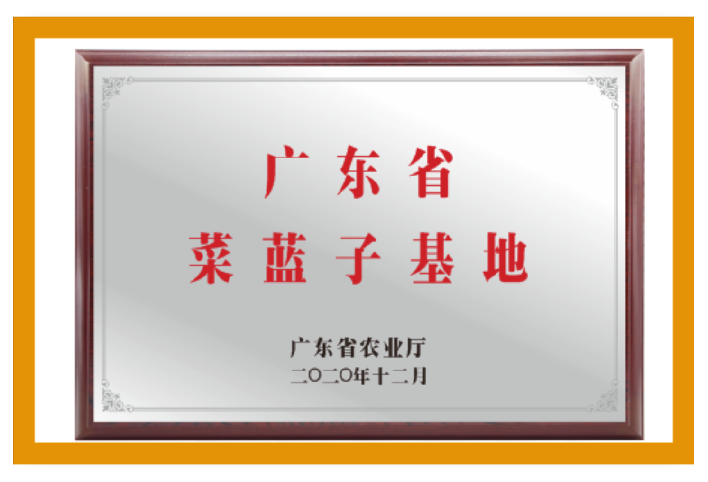 欧美日韩狠狠爱视频a片