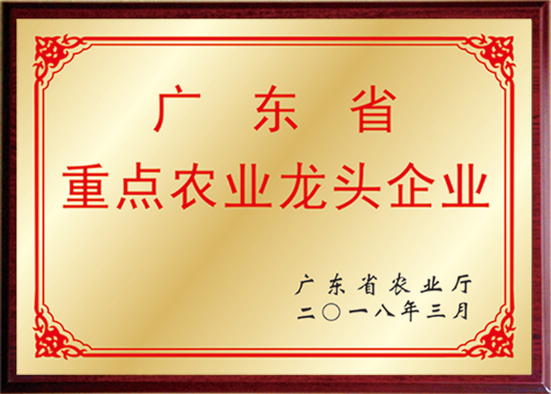 欧美日韩狠狠爱视频a片