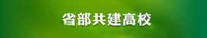 欧美日韩狠狠爱视频a片